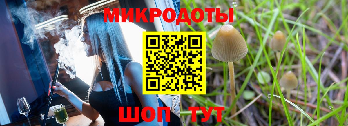 Галлюциногенные грибы MAGIC MUSHROOMS  Галлюциногенные грибы ЛСД  Назрань  Вход с VPN 